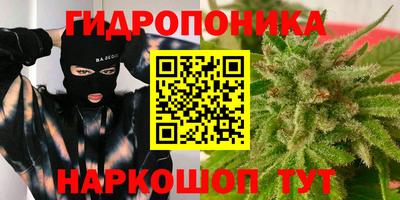 крисы Краснознаменск