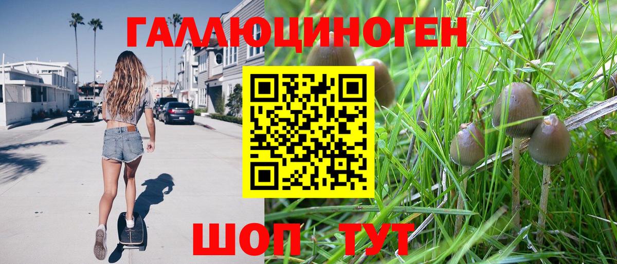 Калининград  Галлюциногенные грибы Psilocybine cubensis  Вход с VPN  Галлюциногенные грибы мухоморы 
